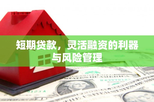 泉山短期贷款，灵活融资的利器与风险管理
