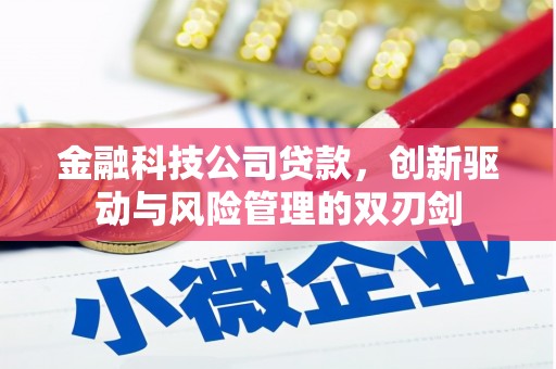 泉山金融科技公司贷款，创新驱动与风险管理的双刃剑